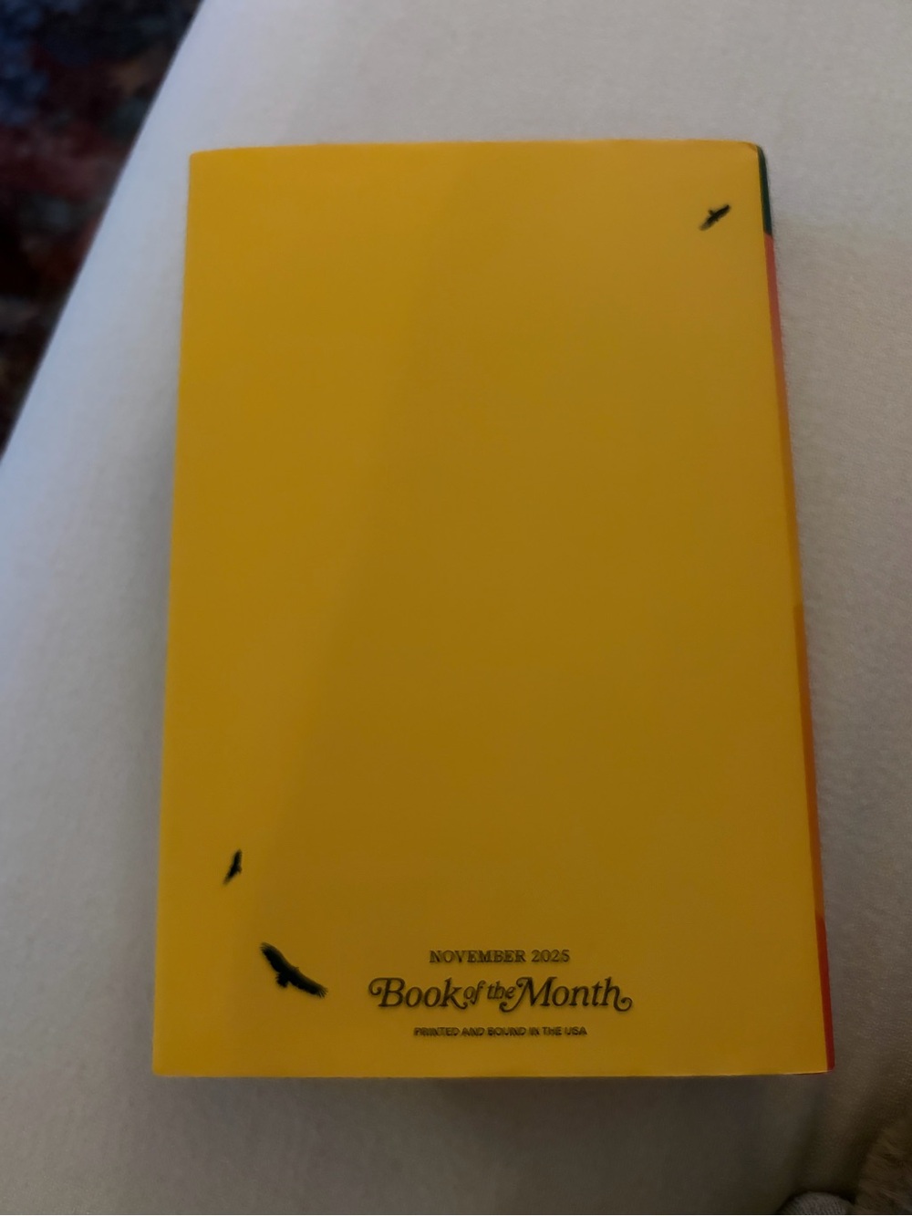 Lightbreakers - Hardcover - Picture 3 of 3